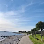 Lupo