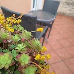 Apartman Lupo