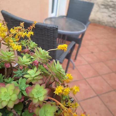 Apartment Lupo